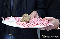 VBS_7161 - Fiera Nazionale del Tartufo e dei Santi 2022
